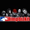 flat750x075f pad750x1000f8f8f8 33 - Limp Bizkit Store