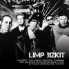flat750x075f pad750x1000f8f8f8.u15 - Limp Bizkit Store