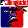 flat750x075f pad750x1000f8f8f8.u2 12 - Limp Bizkit Store