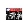 flat750x075f pad750x1000f8f8f8.u2 20 1 - Limp Bizkit Store