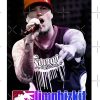flat750x075f pad750x1000f8f8f8.u2 22 - Limp Bizkit Store