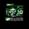 flat750x075f pad750x1000f8f8f8.u2 26 1 - Limp Bizkit Store