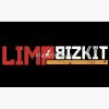 flat750x075f pad750x750f8f8f8.u4 18 - Limp Bizkit Store